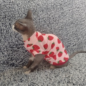 Cat clothes ireland hotsell