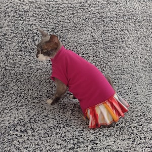 May include: A cat wearing a pink shirt with a colorful skirt. The cat is sitting on a gray fuzzy surface.