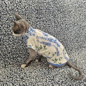 Sphynx cat clothes, bambino cat clothes, cat clothes, sphynx cat shirt, hairless cat clothes, sphynx sweatshirt, sphynx sweater, sphynx cat
