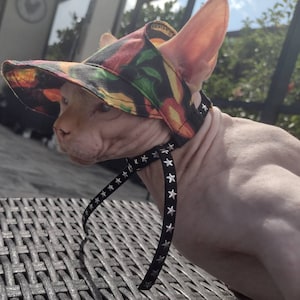 Sphynx cat hat, bambino cat hat, sphynx summer hat, sphynx hat, bambino hat, cat hat, hat for sphynx, hairless cat hat, hairless fashion
