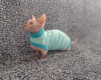 May include: A hairless cat wearing a light blue fleece sweater with a turquoise trim. The cat is sitting on a gray fuzzy surface.