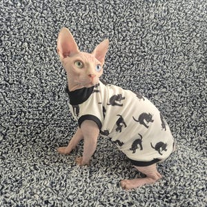May include: A hairless Sphynx cat wearing a white shirt with black cat silhouettes. The shirt has black trim around the neck and sleeves. The cat is pink and has large ears and blue eyes. It is sitting on a gray, textured surface.