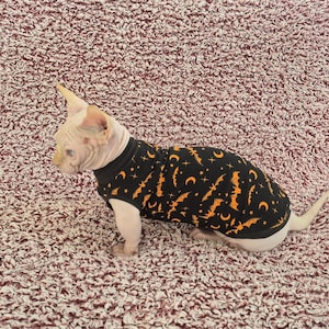 Sphynx cat clothes, bambino cat clothes, cat clothes, sphynx sweatshirt, sphynx cat shirt, hairless cat clothes, sphynx sweater, sphynx cat