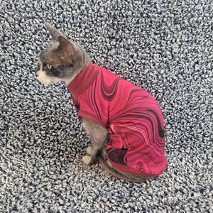 Sphynx cat clothes, bambino cat clothes, cat clothes, sphynx sweatshirt, sphynx cat shirt, hairless cat clothes, sphynx sweater, sphynx cat