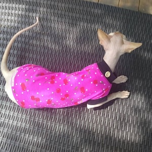 Sphynx cat clothes, bambino sphynx clothes, cotton jersey sphynx cat sweater, sphynx clothes, bambino clothes, cat clothes, sphynx shirt