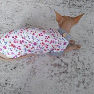 Sphynx cat clothes, bambino sphynx clothes, cotton jersey sphynx cat sweater, sphynx clothes, bambino clothes, cat clothes, sphynx shirt