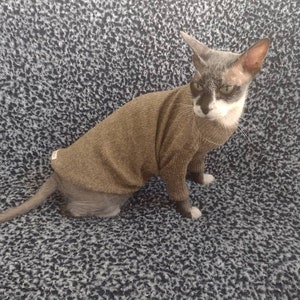 Sphynx cat clothes, long sleeves sphynx cat sweater, sphynx clothes, cat clothes, hairless cat clothes, hairless fashion, sphynx shirt