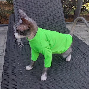 Sphynx UV protection, SPF 50, sphynx cat clothes, bambino cat clothes, cat clothes, hairless cat clothes, sphynx UV shirt, sphynx sweater