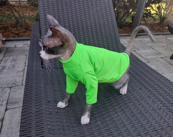May include: A hairless cat wearing a bright green shirt sits on a black wicker lounge chair.