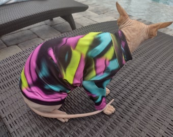 May include: A hairless cat wearing a colorful, abstract print shirt. The shirt has shades of pink, blue, green, and black. The cat is sitting on a woven chair.