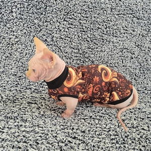 Sphynx cat clothes, bambino cat clothes, cat clothes, sphynx cat shirt, hairless cat clothes, sphynx sweatshirt, sphynx sweater, sphynx cat
