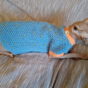 Sphynx cat clothes, hand knitted sphynx cat sweater, L size, sphynx clothes, cat clothes, clothes for sphynx, sphynx shirt, sphynx sweater