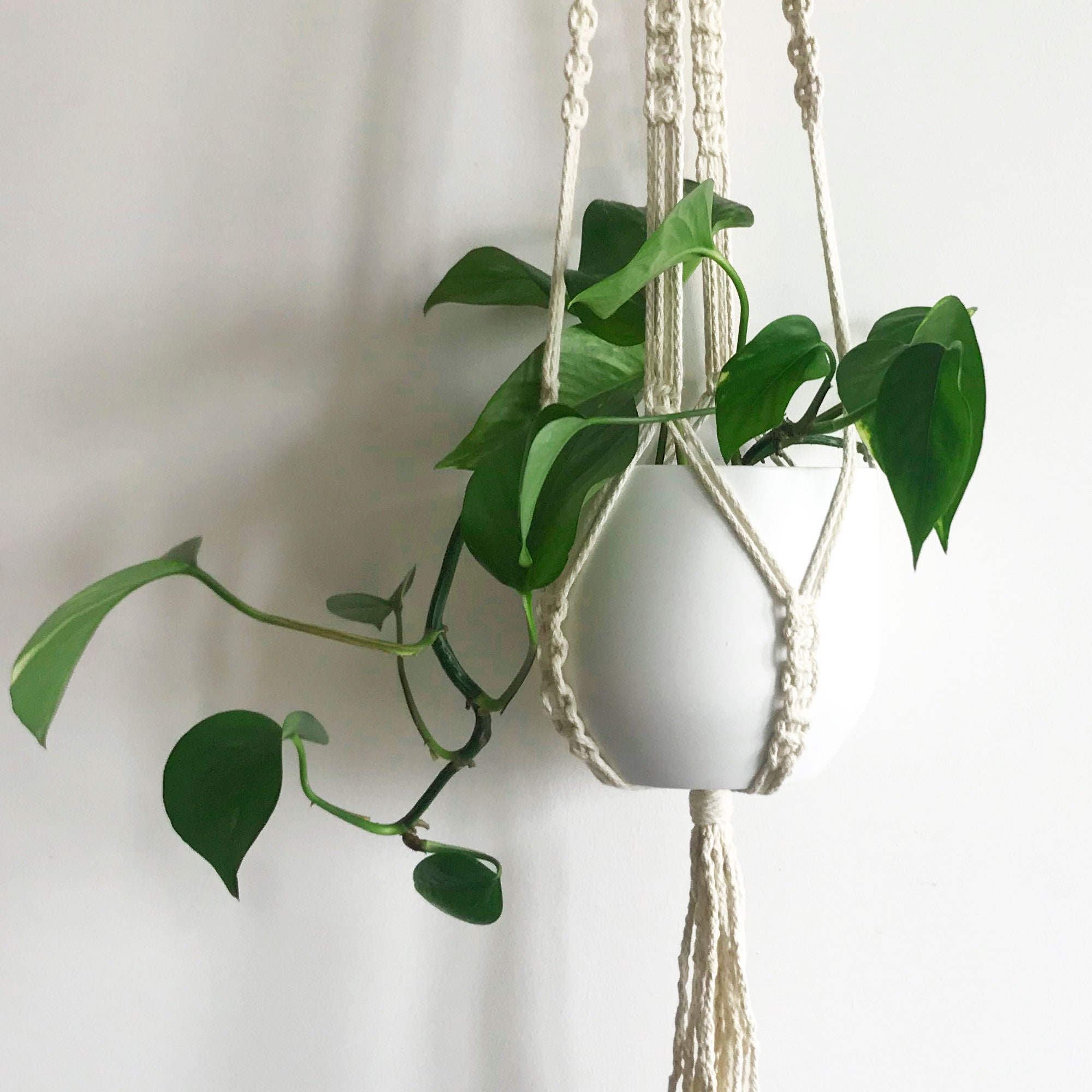 PAGJHRFJG Makramee Pflanzenaufhänger 8er Set - Beige Baumwollseile 40cm