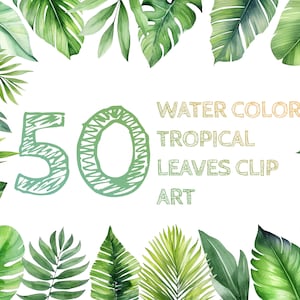 Tropical Palm leaves , Watercolor Leaves Clipart, Tropical Leaves, Palm leaves Clipart, Palm Leaf, Watercolor Greenery, Watercolor elements