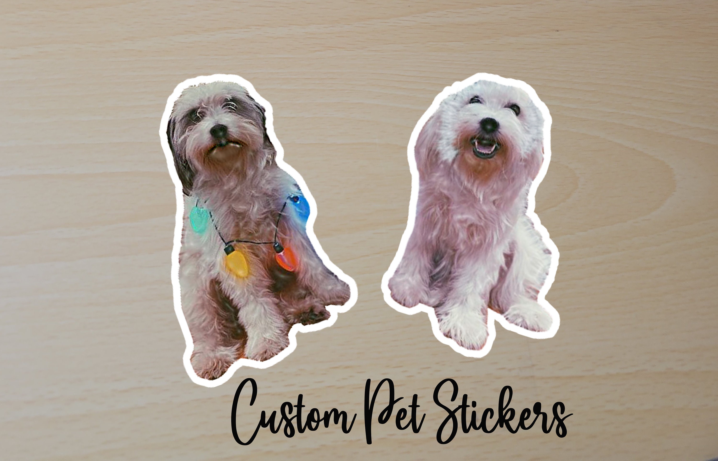 Custom Pet Stickers Etsy