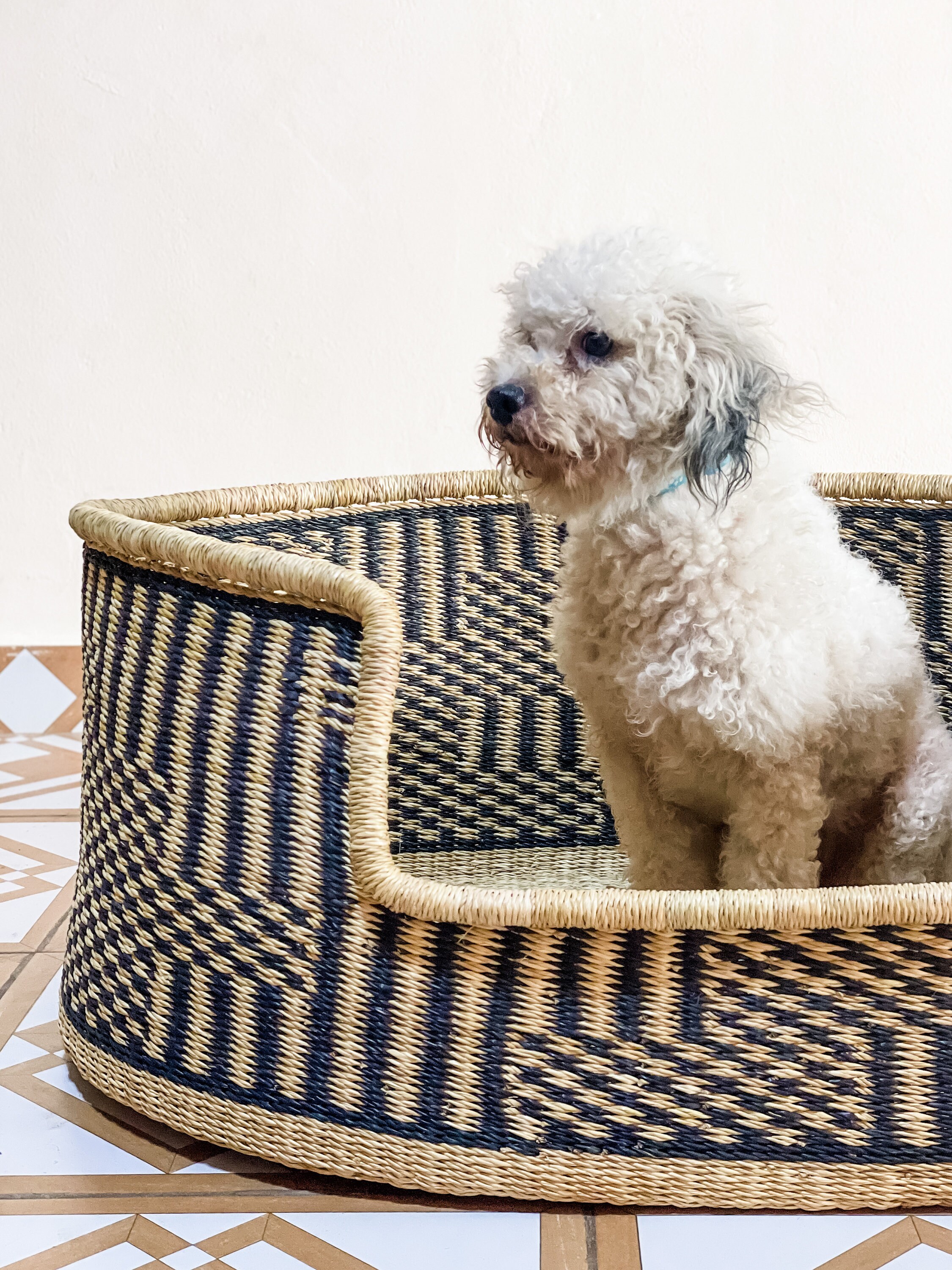 Bolga dog bed outlet