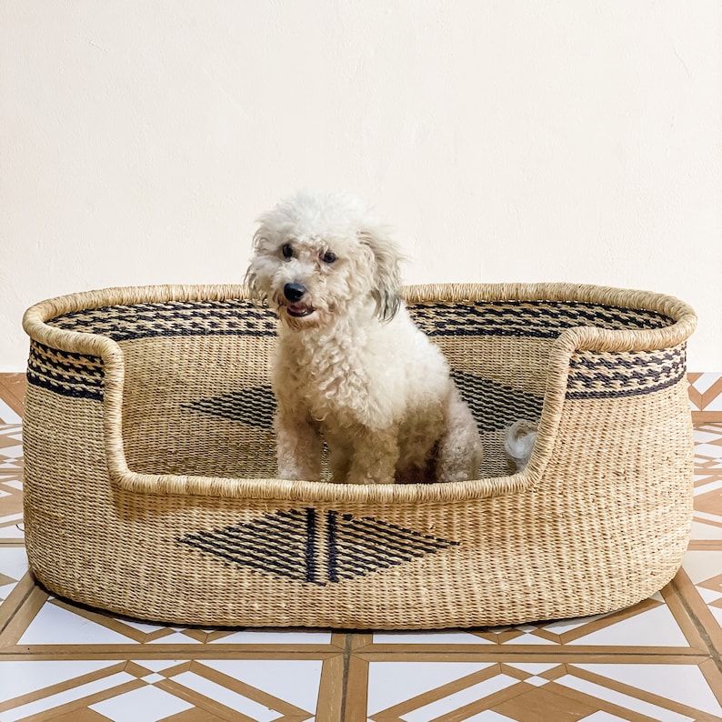 May include: A white dog sits in a woven dog bed with black and brown diamond patterns. The bed is made of natural materials and has a rounded shape.