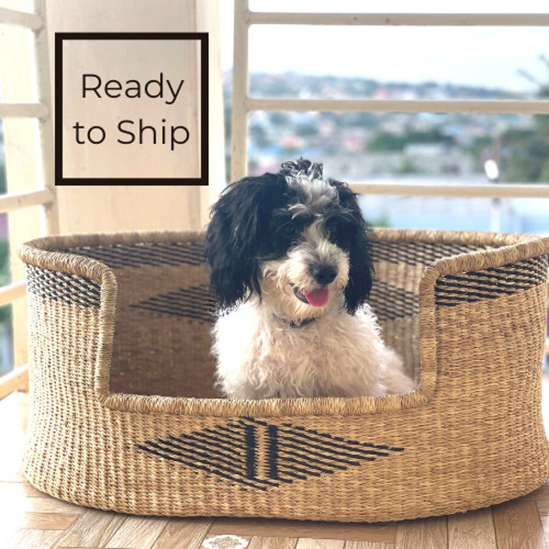 May include: A small, white dog with black fur on its head sits in a woven, oval-shaped dog bed with black and white geometric patterns. The bed is made of natural materials and has a raised edge.