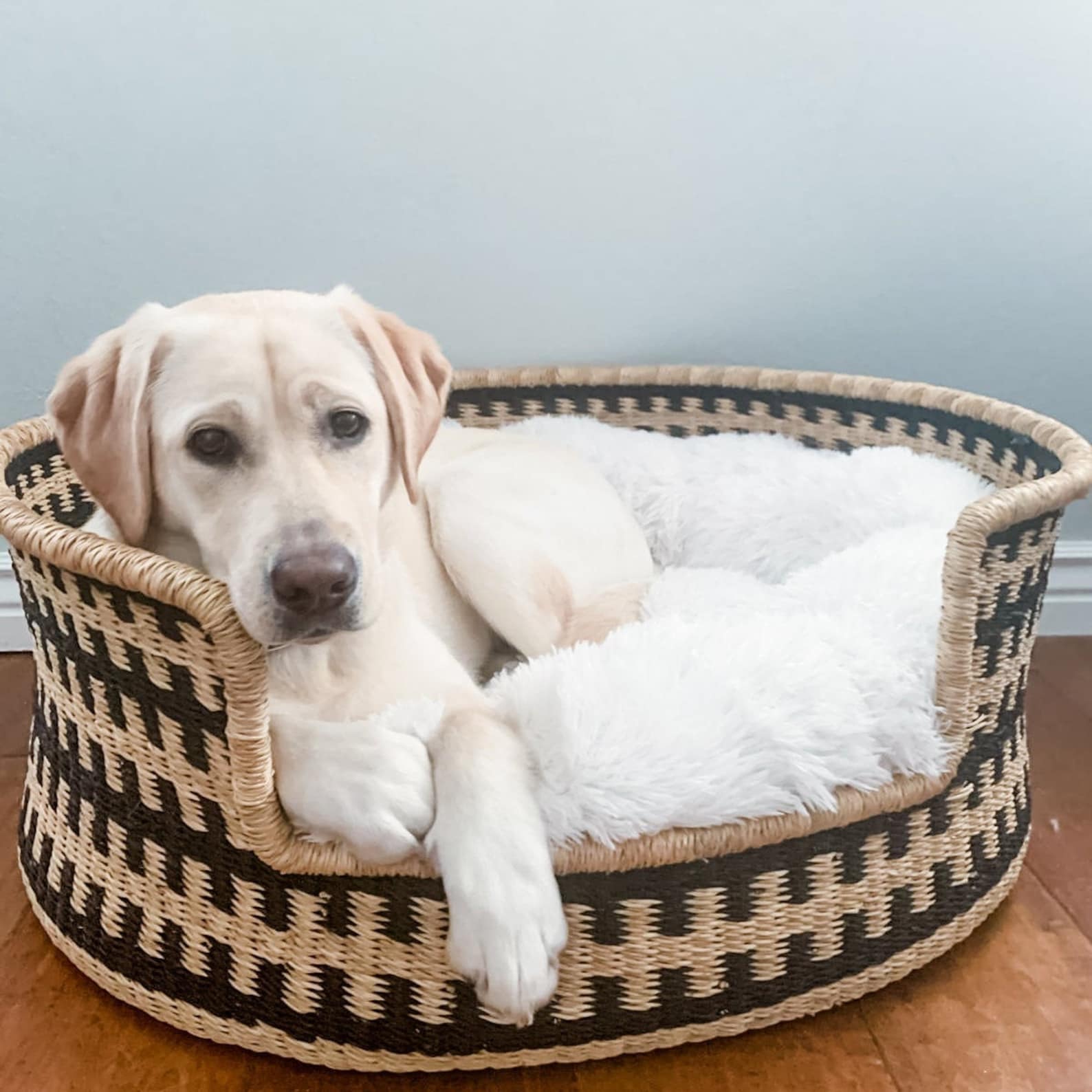 Handwoven Dog Basket Made to Order Pet Bed Custom Cat Cot Etsy
