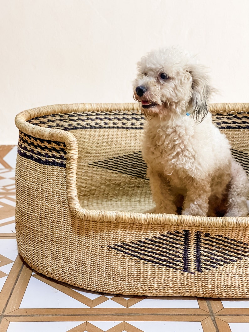 May include: A white dog sitting in a woven wicker pet bed with black and white geometric patterns. The bed is on a tiled floor.