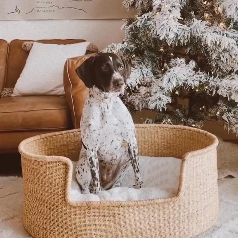 XL Natural Woven Dog Bed Sustainable Dog Bed Fair Trade Etsy