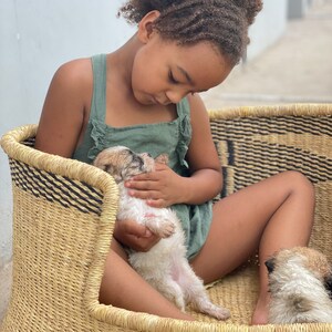 May include: A young girl with curly brown hair sits in a woven basket holding a small white puppy. The puppy is lying on its back with its paws in the air. The girl is wearing a green sleeveless dress.