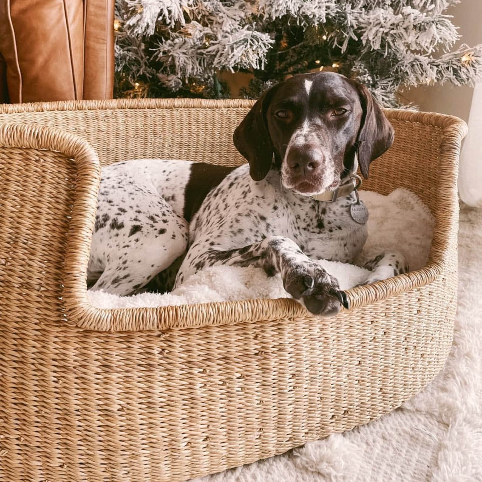 XL Natural Woven Dog Bed Sustainable Dog Bed Fair Trade Etsy