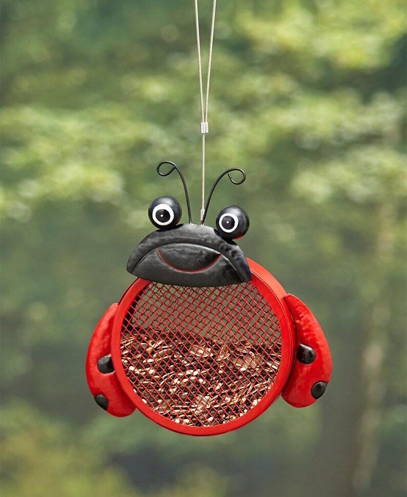 Outdoor Garden Yard Decor Themed Mesh Bird Feeders Attract Birds To Garden Attached On Tree Birdseed Holder