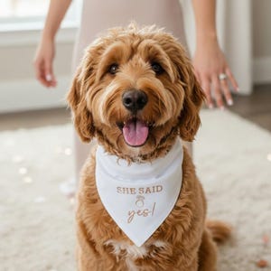 Embroidered She Said Yes Bandana for Dog Engagement Bandana Dog Engagement Announcement Dog Bandana Wedding Dog Bandana Best Dog BIB 3