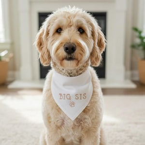 Embroidered Big Sis Dog Bandana Personalized Dog Bandana Adjustable Bandana Adjustable Dog Bandana Baby Pregnancy Announcement BIB 1