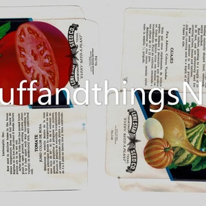 Unfolded seed packets - vibrant color veges