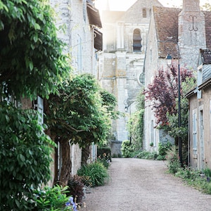 France Photography - Picturesque Pathway - Loire, Saint-Dye-sur-Loire, France Art Print, Fine Art Photograph, Home Decor, Large Wall Art.