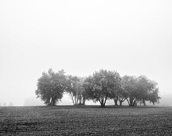 Midwest Photography - Foggy Morning in Iowa - Nature Fine Art Photograph, Plains, Urban Home Decor, Large Wall Art, Print