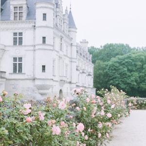 Loire Valley, France Photography - Roses at Chenonceau - Architecture Fine Art Photograph, Urban Home Decor, Large Wall Art, Print, Historic
