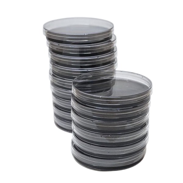 ACTIVATED CARBON AGAR for Mushroom Cultivation - Sterilized Activated Carbon Agar, Ready-to-use, fast shipping, great for mushroom cultures.