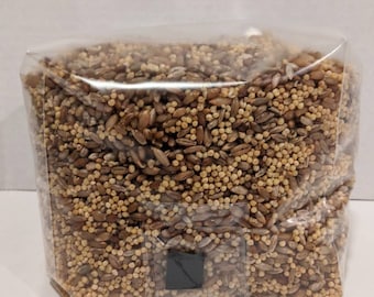 The Ultimate Mushroom Spawn Bag! - Rye and Millet hydrated with Manure blend for massive yields! 2 pack, 6 lbs total.