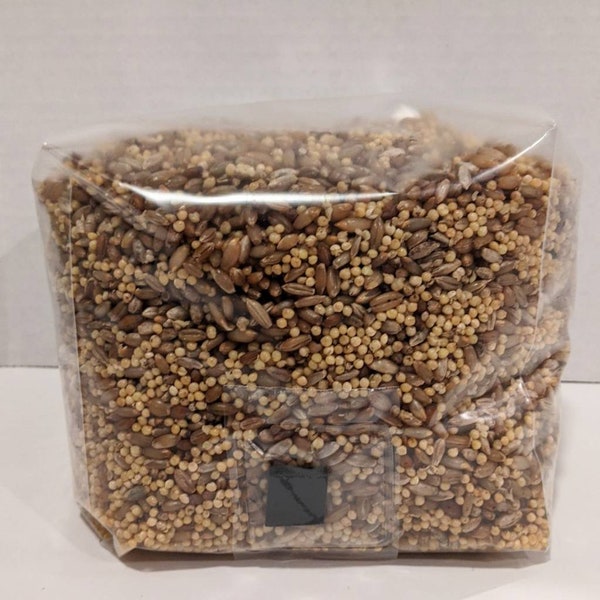 Mycelium Dream - The Ultimate Mushroom Spawn Bag! - 2 in 1 Growth Substrate - Rye and Millet hydrated with Manure blend for massive yields!