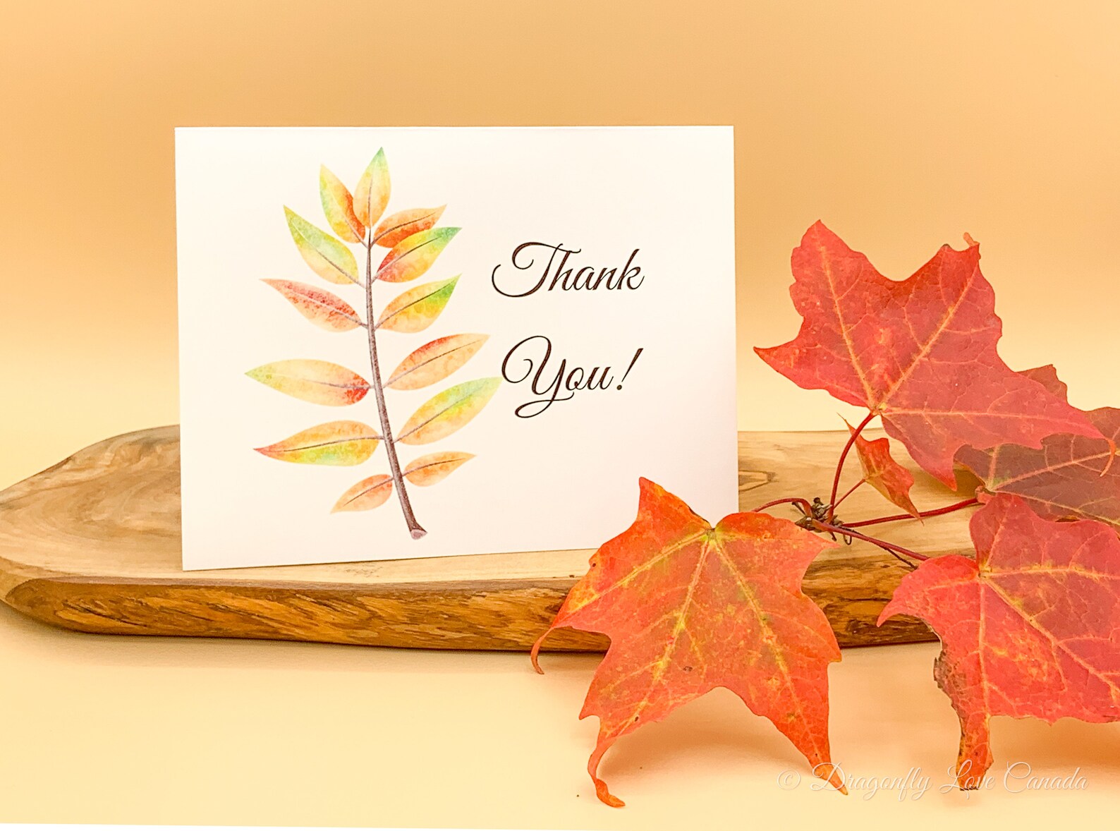 Autumn Thank You Card Set of 6 Blank on Inside Fall - Etsy Autumn Thank You Card Set of 6 Blank on Inside Fall - Etsy