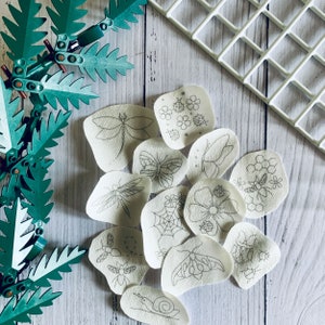 May include: A set of 12 white fabric patches with black embroidery of various insects and flowers. The patches are on a white wooden surface with a green leafy plant in the background.