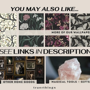a collage of images with the words you may also like see links in description