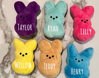 Op de afbeelding: Zes pluche konijnen in verschillende kleuren, elk met een geborduurde naam op de voorkant: Taylor (paars), Ryan (lichtblauw), Lilly (roze), Willow (geel), Teddy (oranje) en Henry (blauw).
