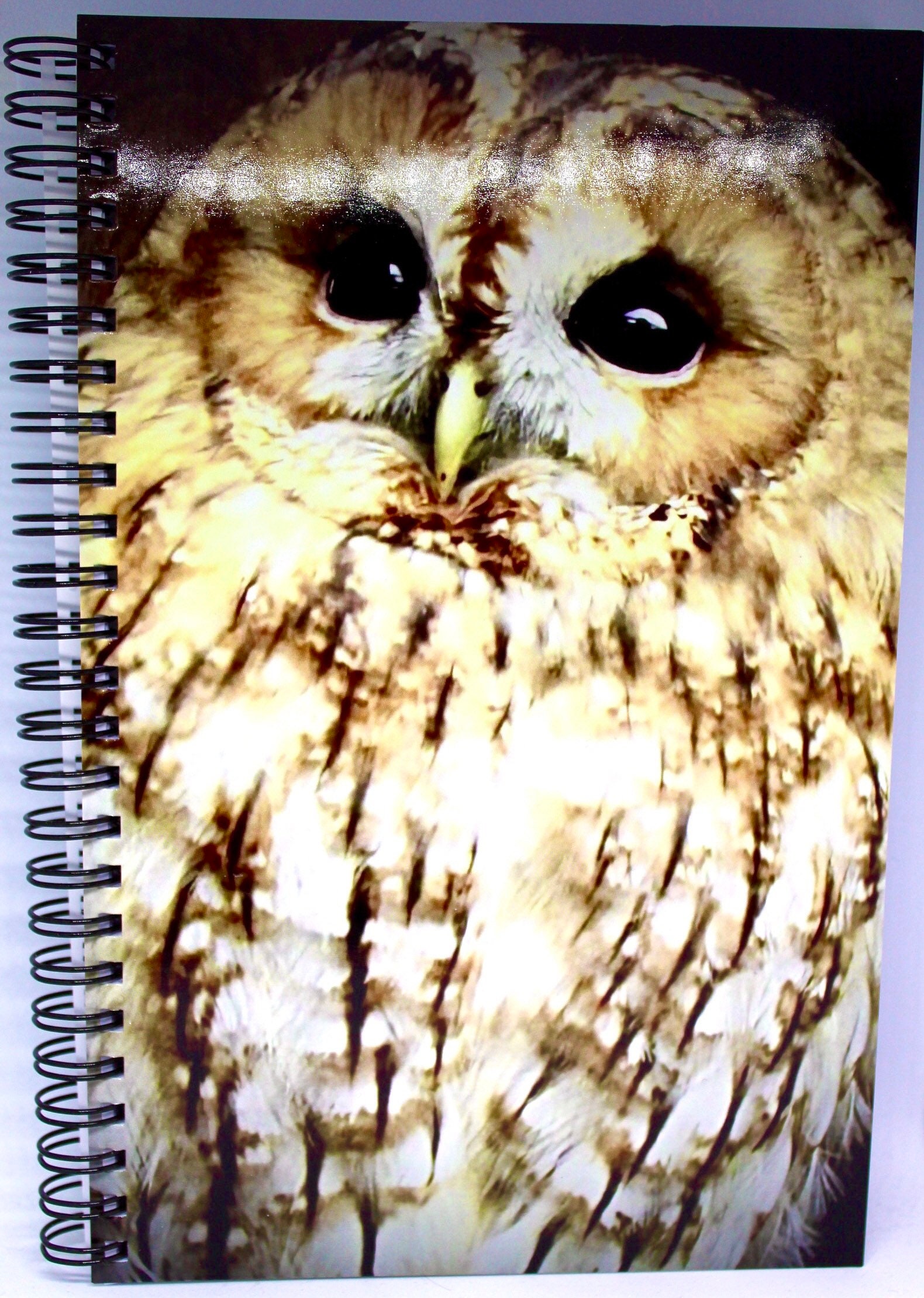 Notebook Owl / Notepad / A5 Journal /Lined Notebook / Etsy