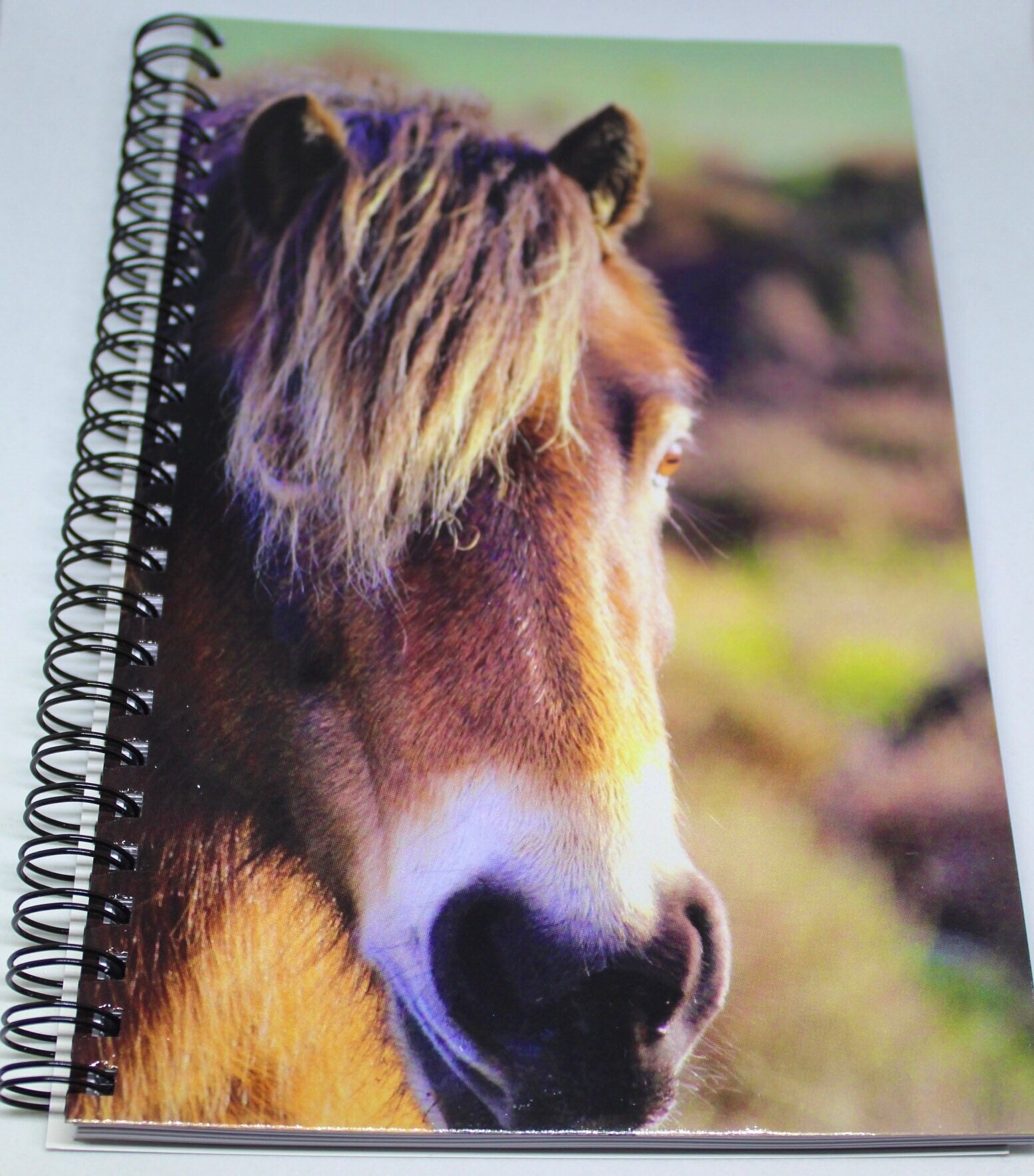 Horse Notebook / A5 Horse Notepad / Lined Spiral Pony Notebook Etsy