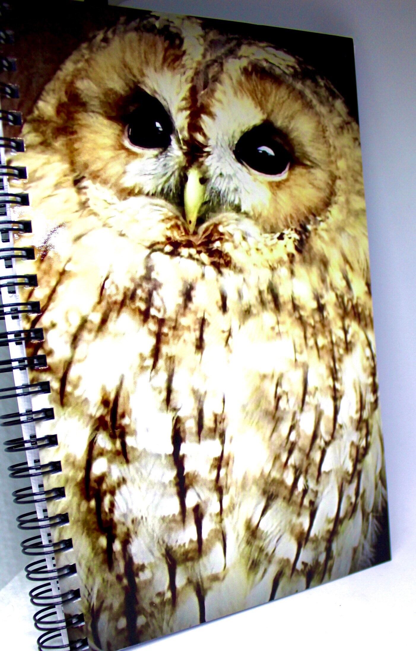 Notebook Owl / Notepad / A5 Journal /Lined Notebook / Etsy