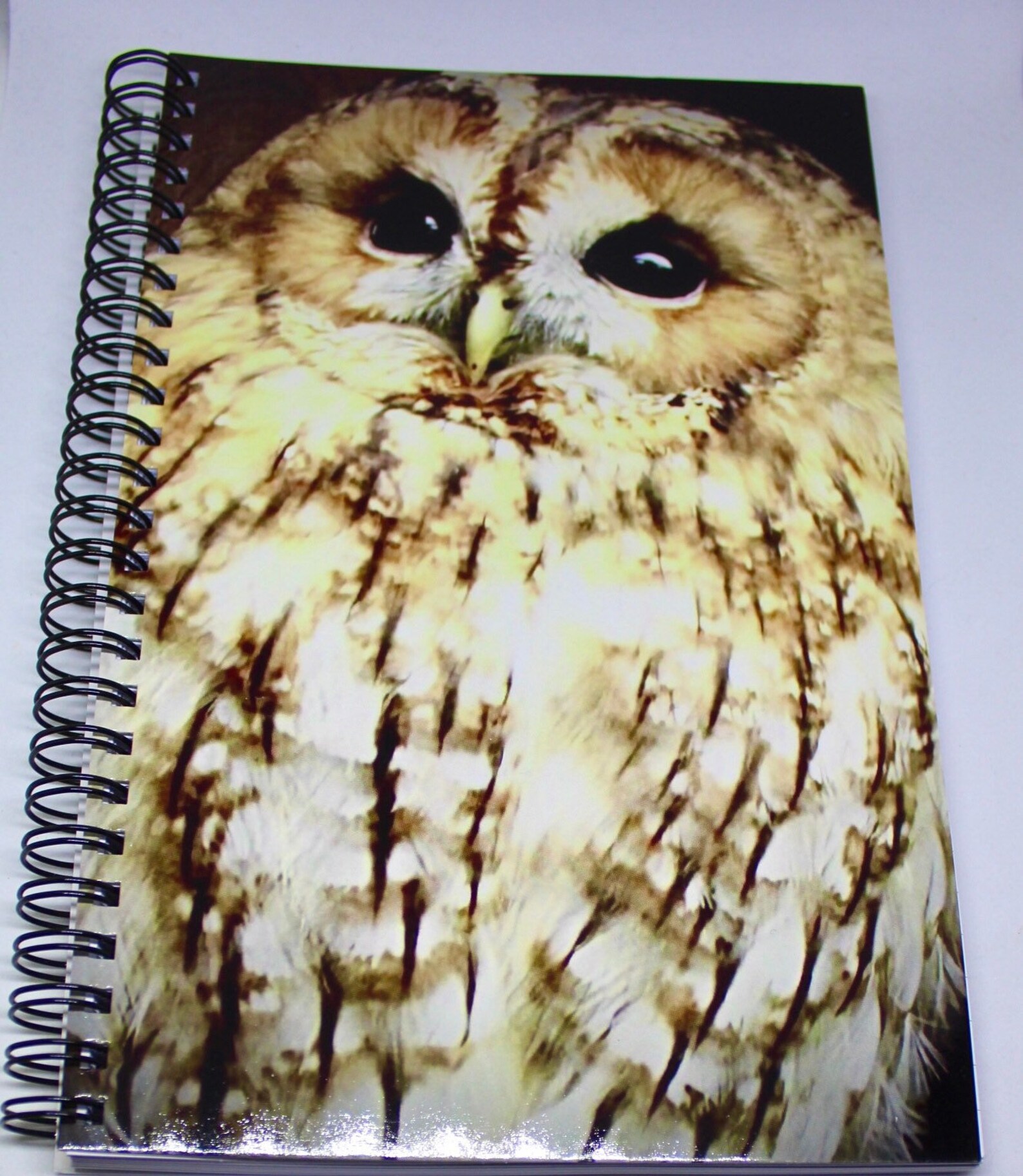 Notebook Owl / Notepad / A5 Journal /Lined Notebook / Etsy