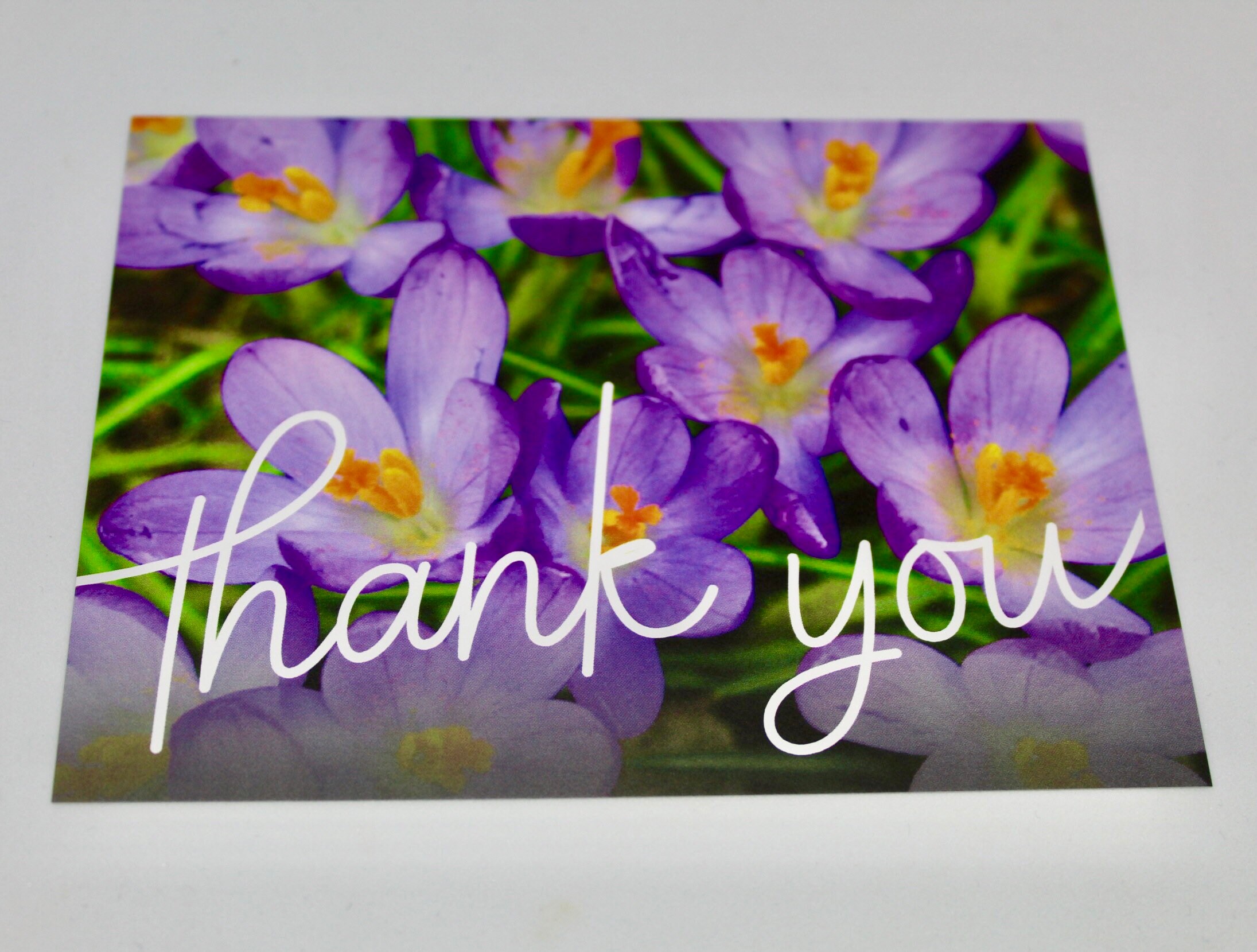 Thank You Note Card Pack / Set of Blank Flower Postcards / Etsy