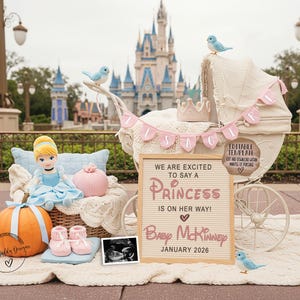 Cinderella Pregnancy Announcement, Digital Girl Disney Princess Baby Announce, Girl Social Media Template, It&#39;s a Girl Princess Reveal