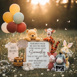 May include: A pregnancy announcement featuring Winnie the Pooh characters, balloons, and baby items. The announcement includes a sign that reads "Seriously, This is the last one!" and the baby's name and due date. A onesie says "What's one more?"