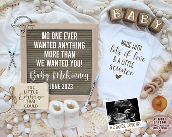May include: A brown letter board with the text "No one ever wanted anything more than we wanted you! Baby Mckinney June 2023". A white onesie with the text "Made with lots of love & a little science". A wooden sign with the text "The little embryo that could". A white baby bootie, a white baby sock, a wooden rattle, a pacifier, and a framed ultrasound image with the text "We never gave up!"