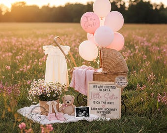 Baby Sister Pregnancy Announcement: Girl Gender Reveal (Digital)